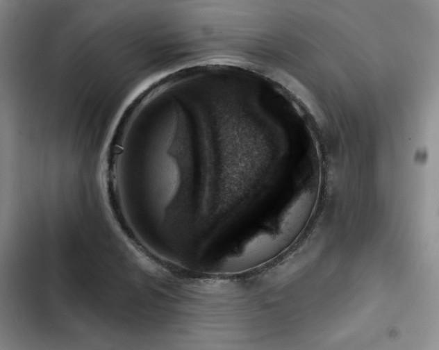 X0000102791024200808181255