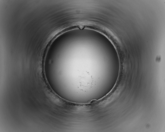 X0000102791025200808181255