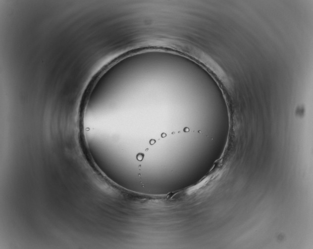 X0000102791028200808181255