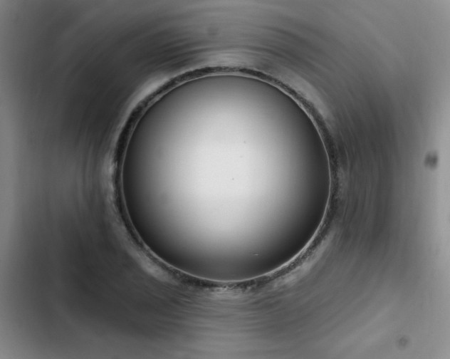 X0000102791029200808181255