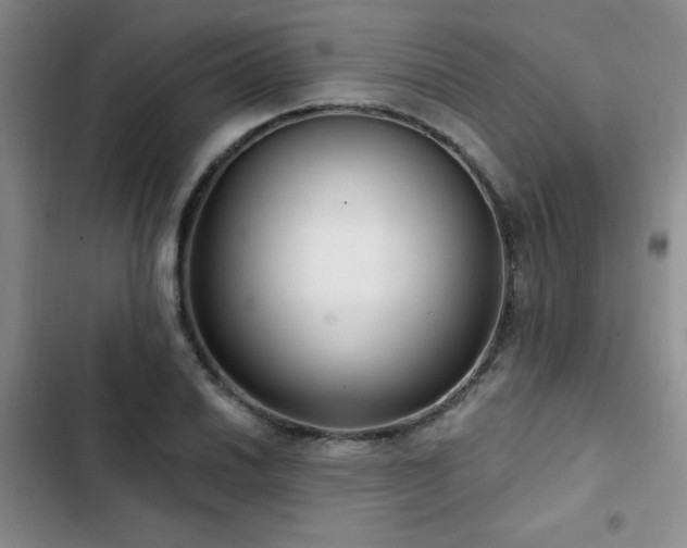 X0000102791030200808181255