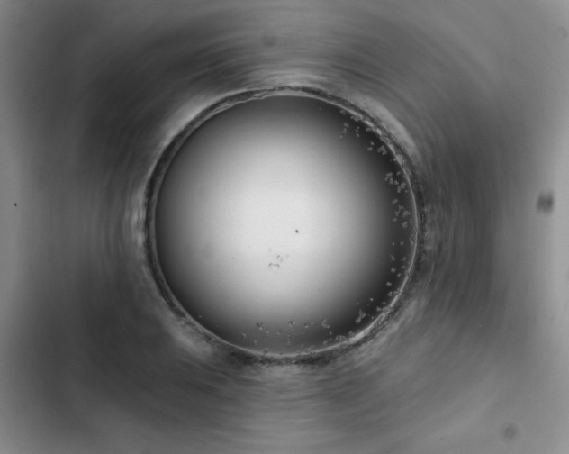 X0000102791031200808181255
