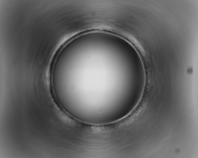 X0000102791032200808181255