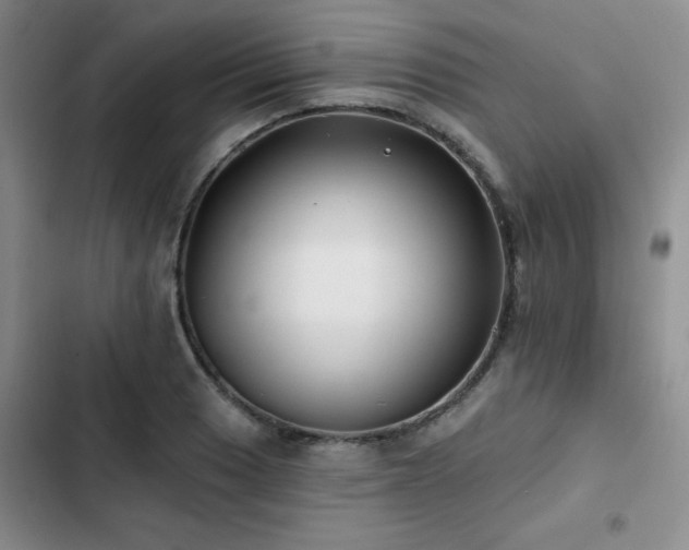 X0000102791033200808181255