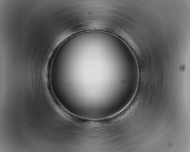 X0000102791034200808181255