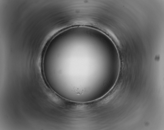 X0000102791035200808181255