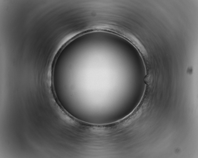 X0000102791036200808181255
