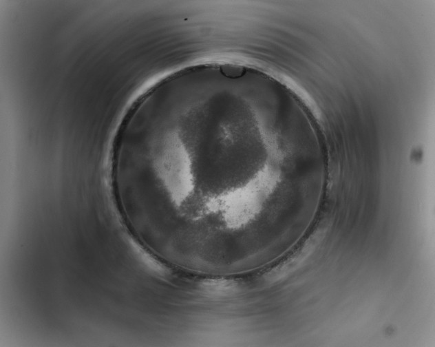 X0000102791037200808181255