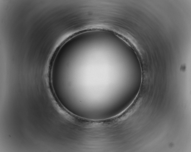 X0000102791038200808181255