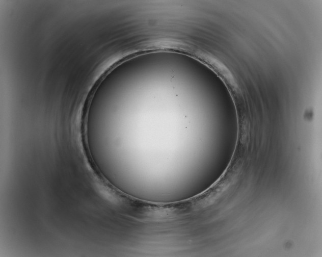 X0000102791039200808181255