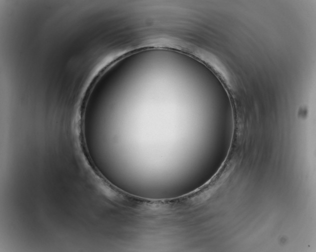 X0000102791040200808181255