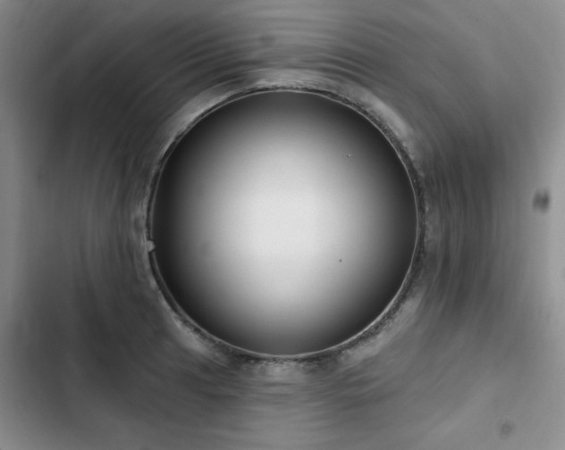 X0000102791041200808181255