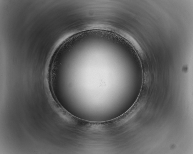 X0000102791043200808181255