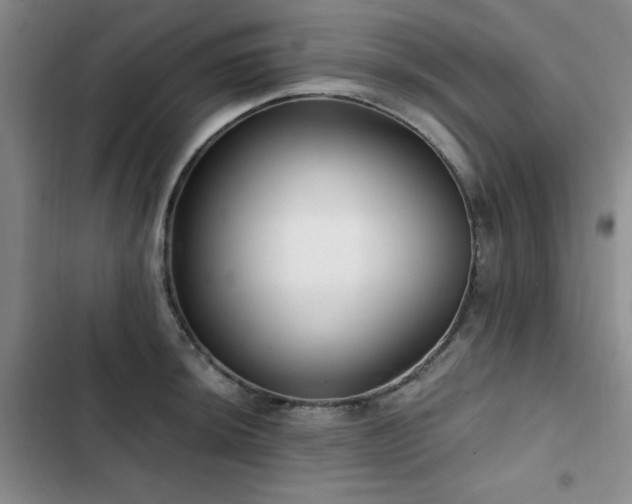 X0000102791044200808181255
