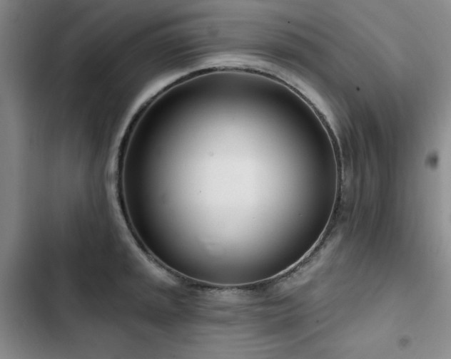 X0000102791045200808181255