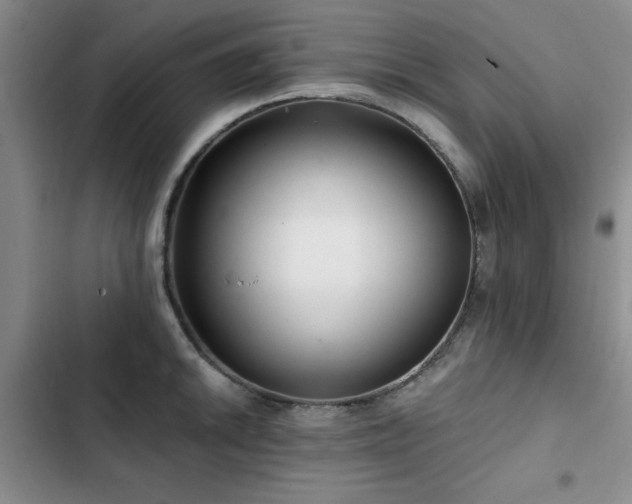 X0000102791046200808181255