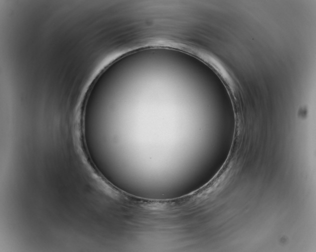 X0000102791048200808181255