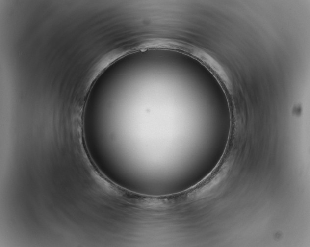 X0000102791049200808181255