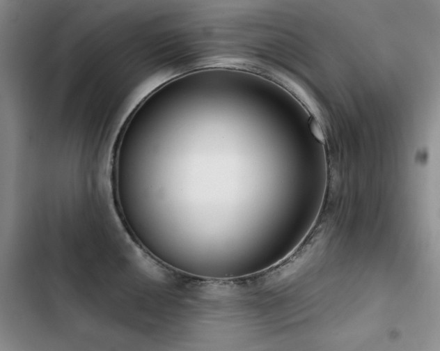 X0000102791050200808181255