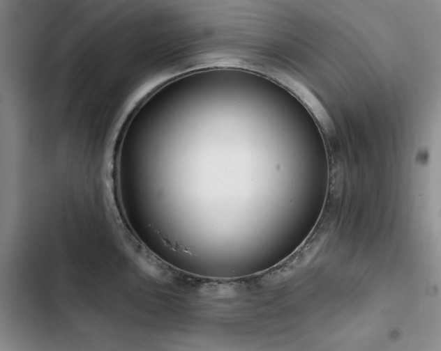X0000102791051200808181255