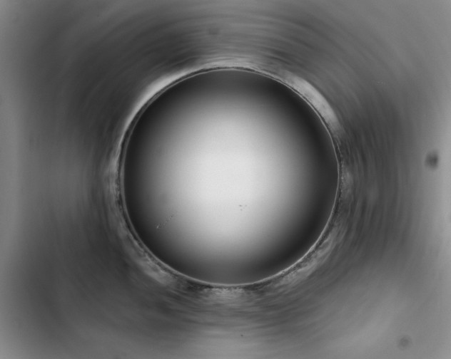 X0000102791052200808181255