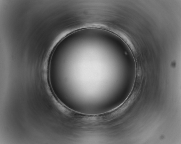 X0000102791054200808181255
