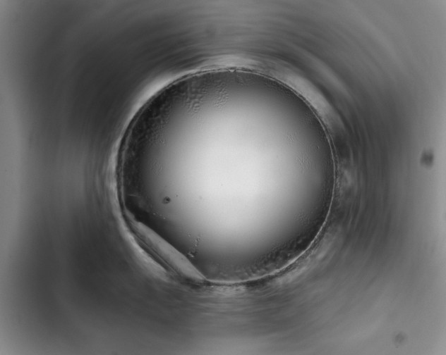 X0000102791055200808181255