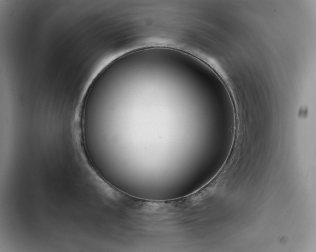 X0000102791056200808181255