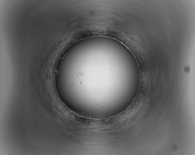 X0000102791057200808181255