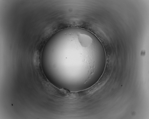 X0000102791058200808181255