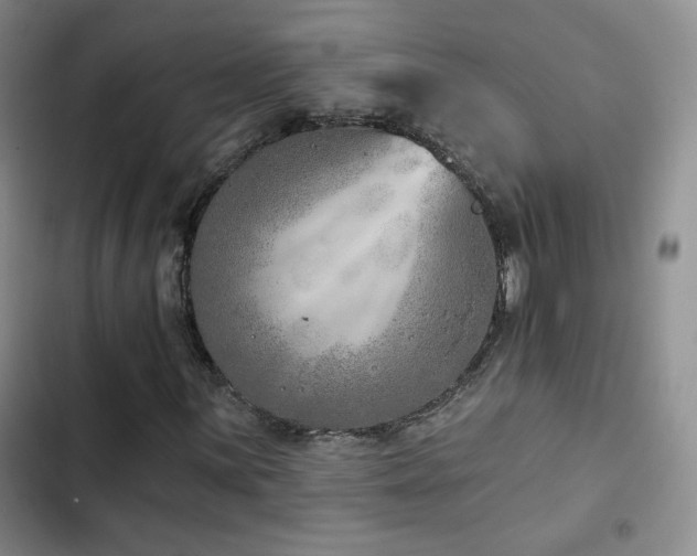 X0000102791059200808181255