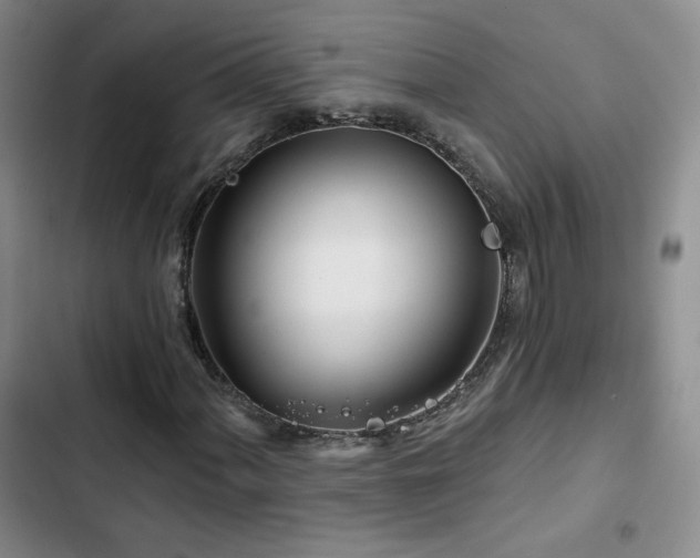X0000102791060200808181255