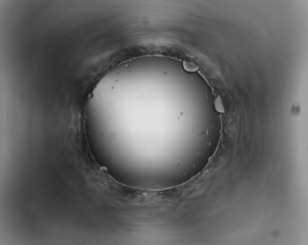 X0000102791061200808181255