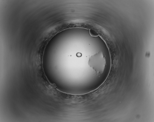 X0000102791062200808181254