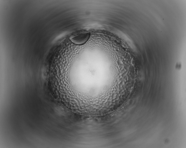 X0000102791063200808181254