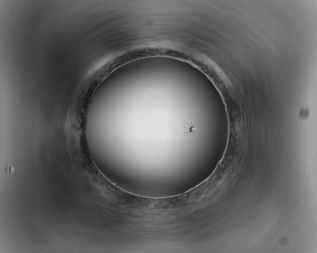 X0000102791064200808181254