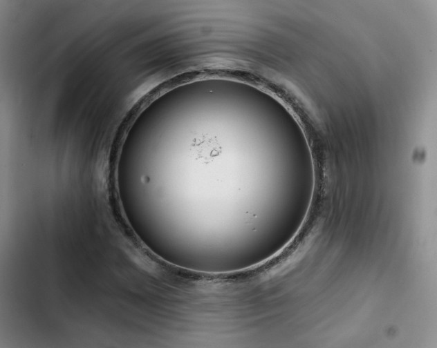 X0000102791065200808181254