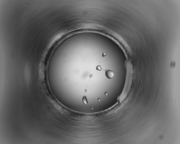 X0000102791067200808181254