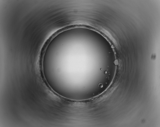X0000102791068200808181254