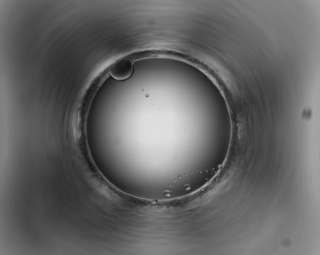 X0000102791069200808181254