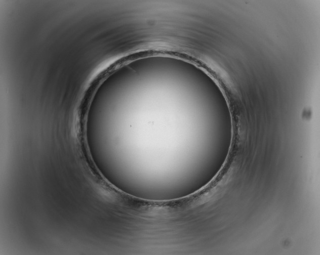X0000102791070200808181254