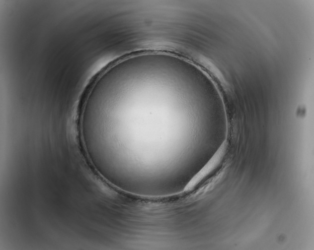X0000102791071200808181254