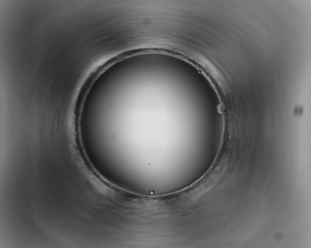 X0000102791072200808181254