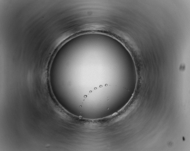 X0000102791073200808181254