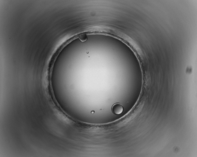 X0000102791075200808181254