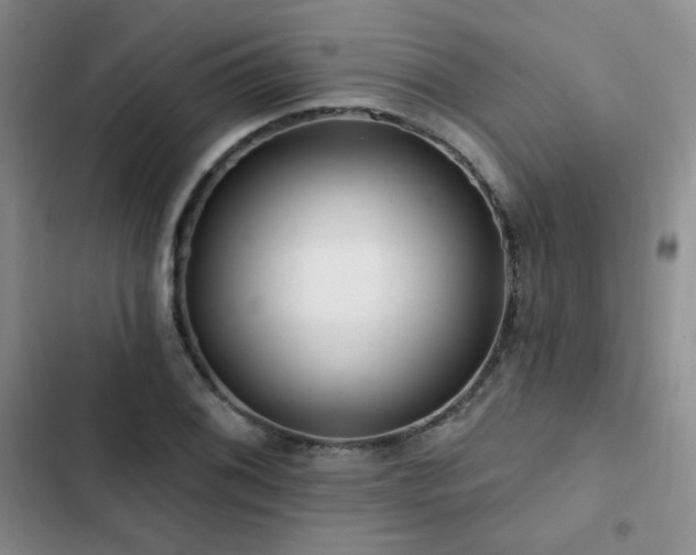 X0000102791076200808181254