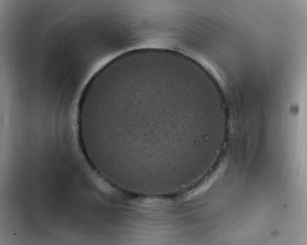 X0000102791077200808181254