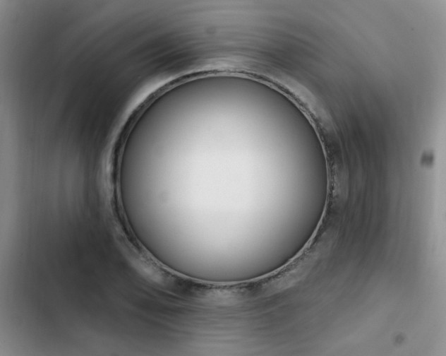 X0000102791078200808181254