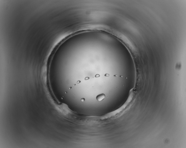 X0000102791079200808181254