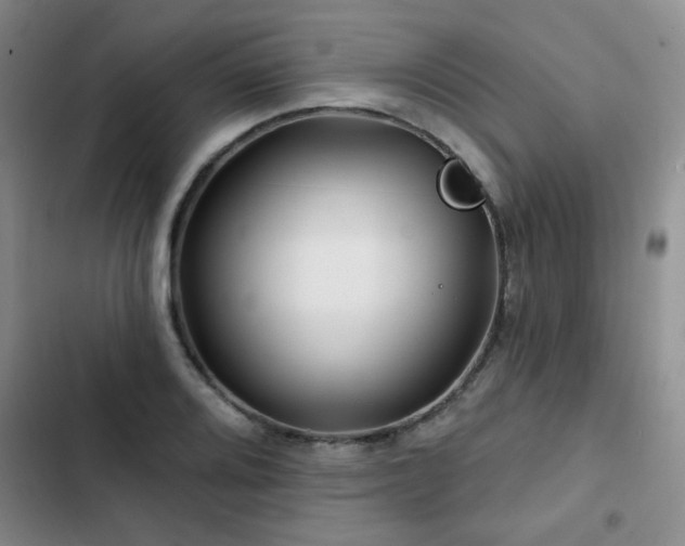 X0000102791080200808181254